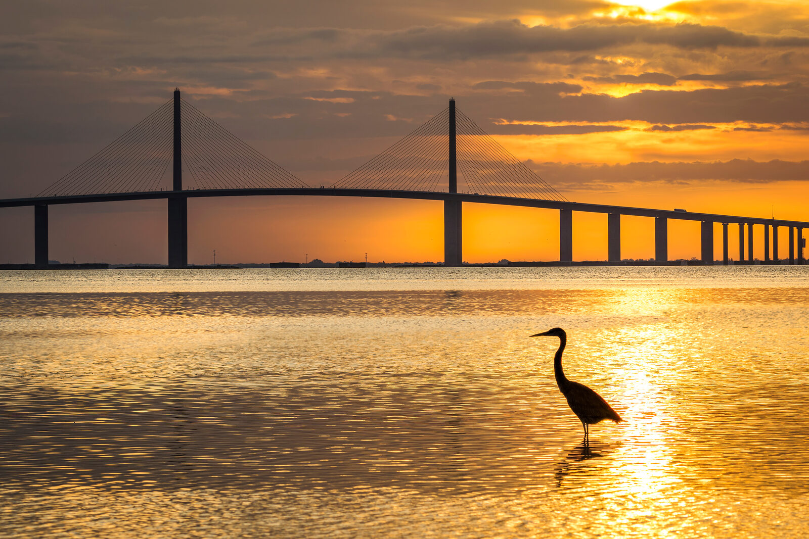 Bradenton Florida waterfront on the Manatee River — retirement and annuity planning for Bradenton, FL residents