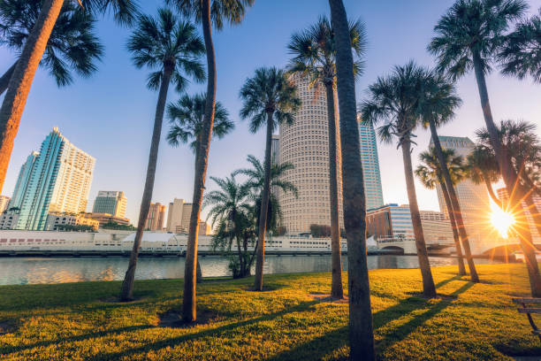 Tampa skyline at sunset framed by palm trees — annuity and 401(k) planning for Carrollwood, FL residents