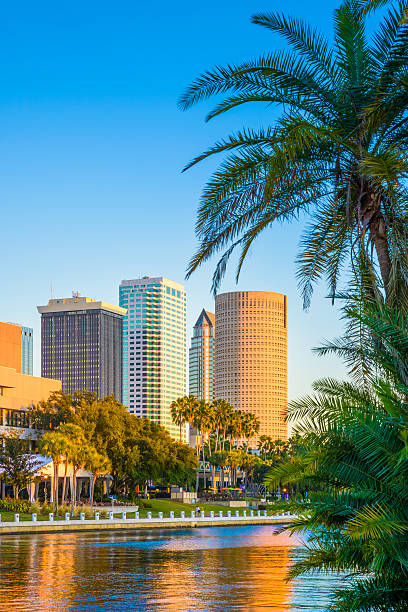 Downtown Tampa skyline framed by palm trees — 401(k) rollover and annuity planning for Westchase, FL residents