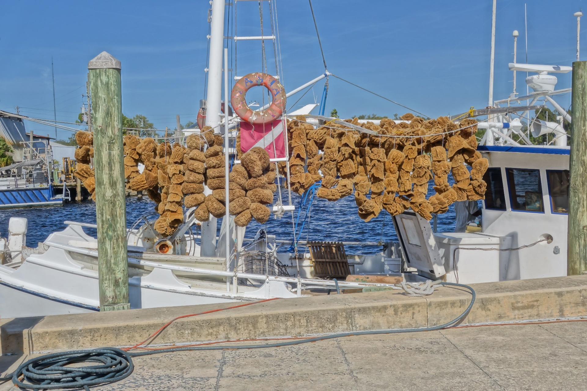 Tarpon Springs Florida historic Sponge Docks with Greek fishing boats
